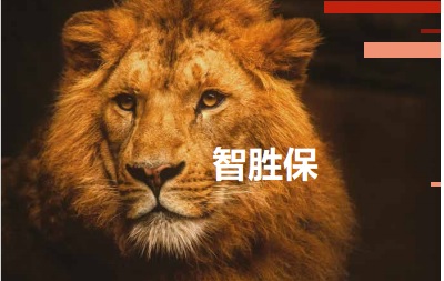 忠意智勝保定期壽險，保證續(xù)保到100歲,可轉(zhuǎn)換成終身壽險